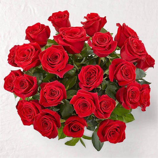 24 Long Stem Roses